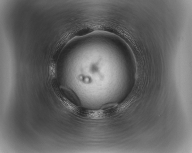 X0000113340288200909221130