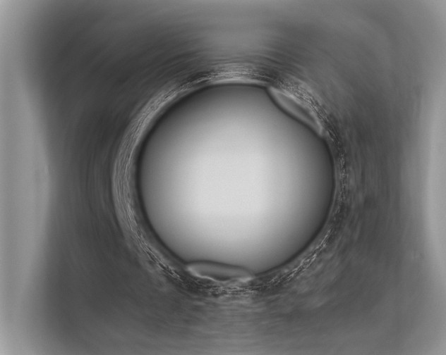 X0000113340289200909221129