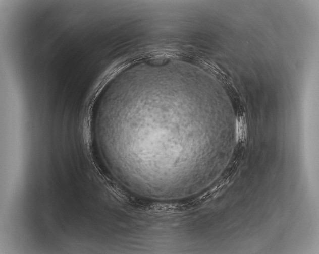 X0000113340291200909221129