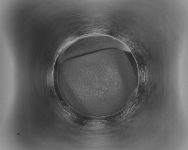 X0000113340292200909221129