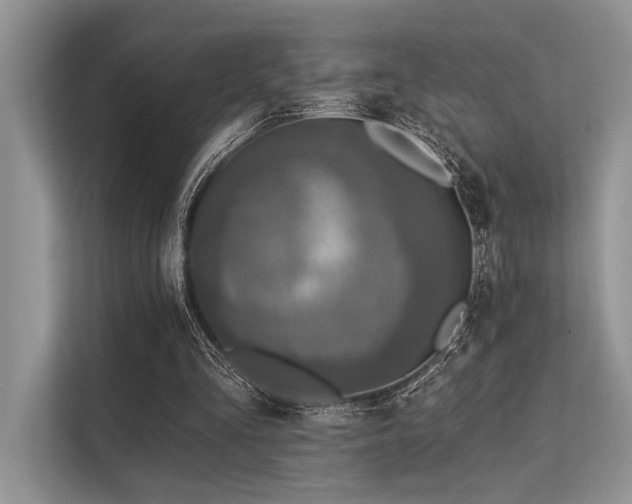 X0000113340293200909221129