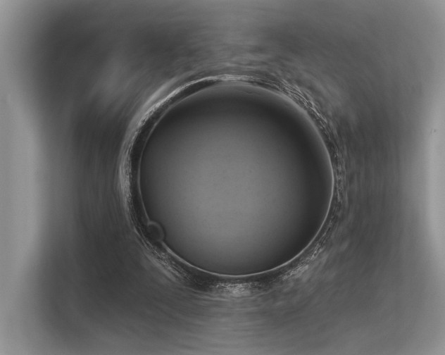 X0000113340295200909221129