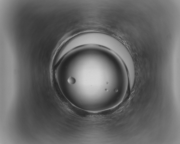 X0000113340296200909221129