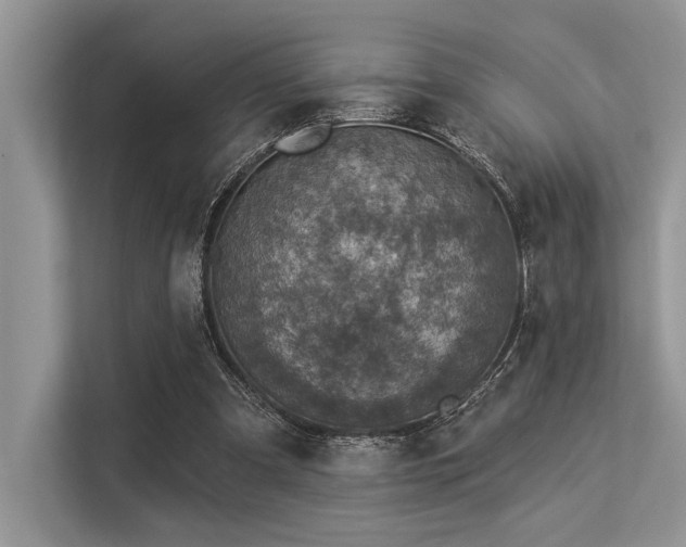 X0000113340297200909221129