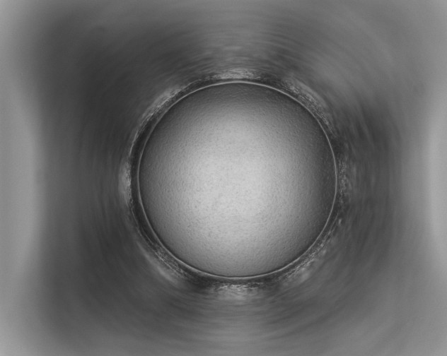 X0000113340298200909221129