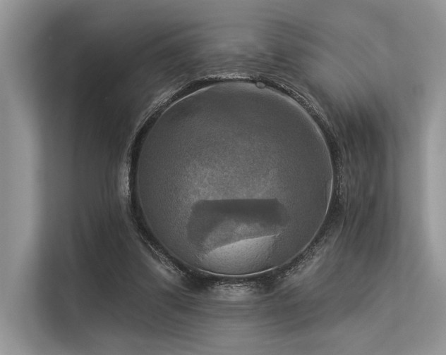 X0000113340299200909221129