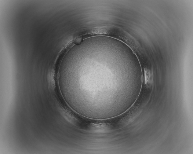 X0000113340300200909221129