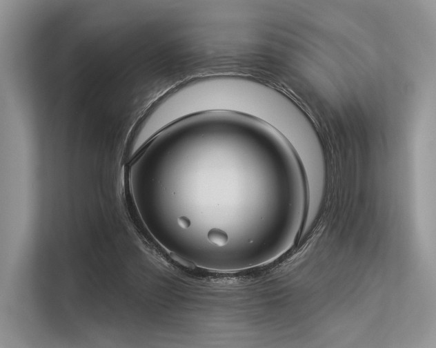 X0000113340301200909221129