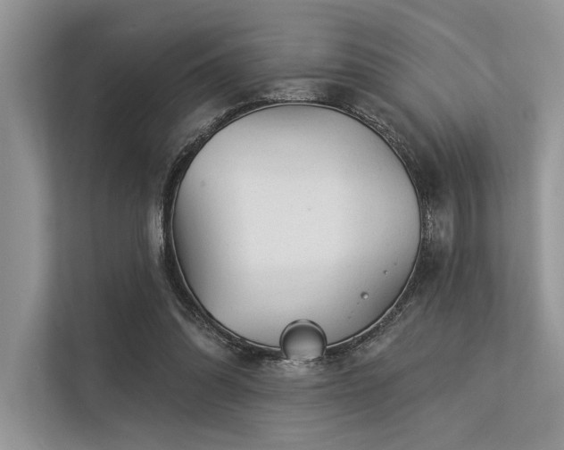 X0000113340302200909221129