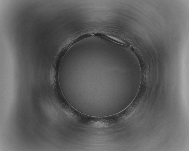 X0000113340303200909221129