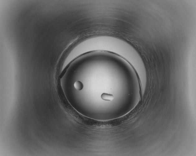 X0000113340304200909221129