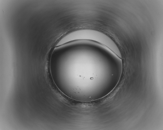 X0000113340305200909221129