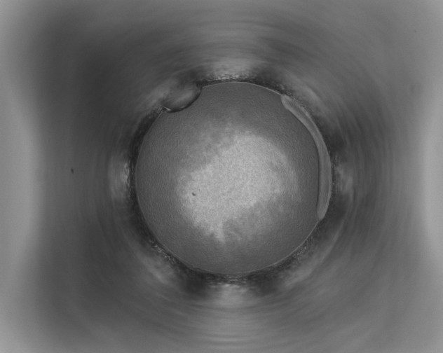 X0000113340308200909221129