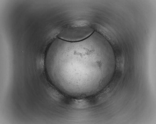 X0000113340309200909221129