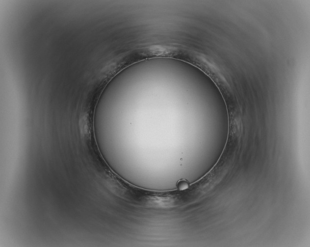 X0000113340317200909221129