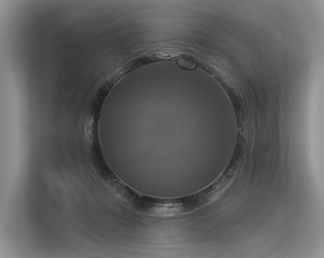 X0000113340319200909221129