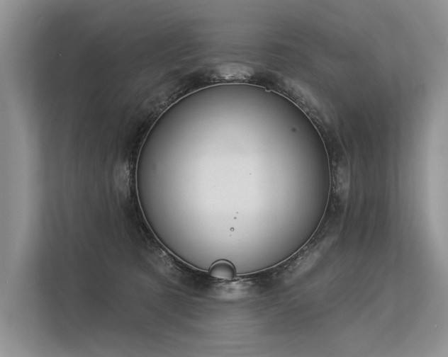 X0000113340321200909221129