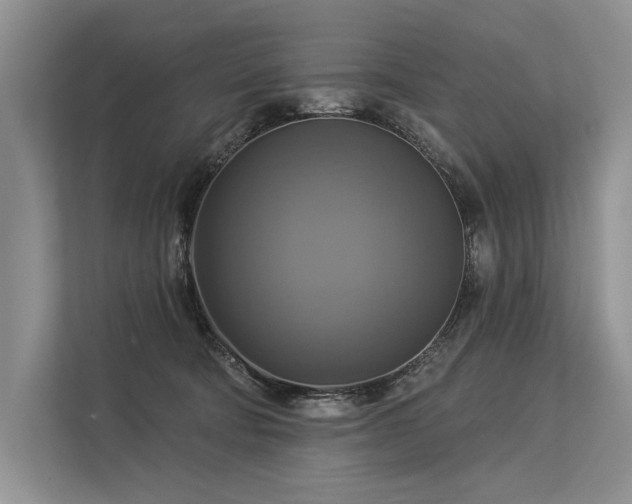 X0000113340322200909221129