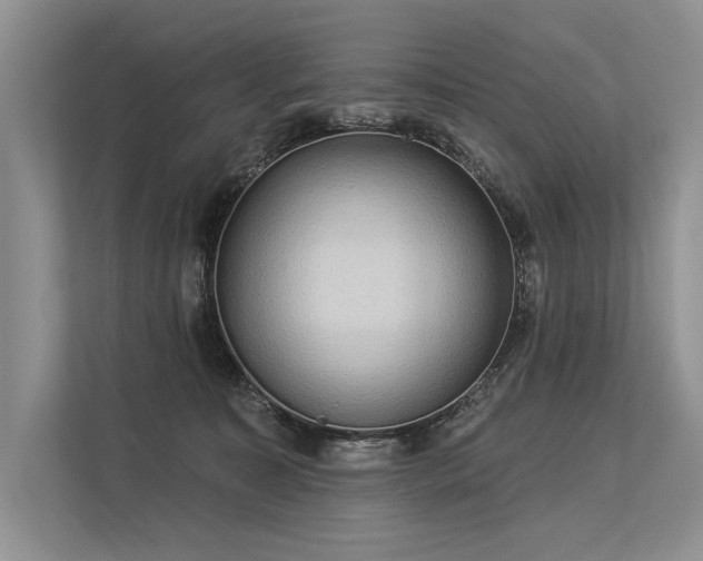 X0000113340323200909221129