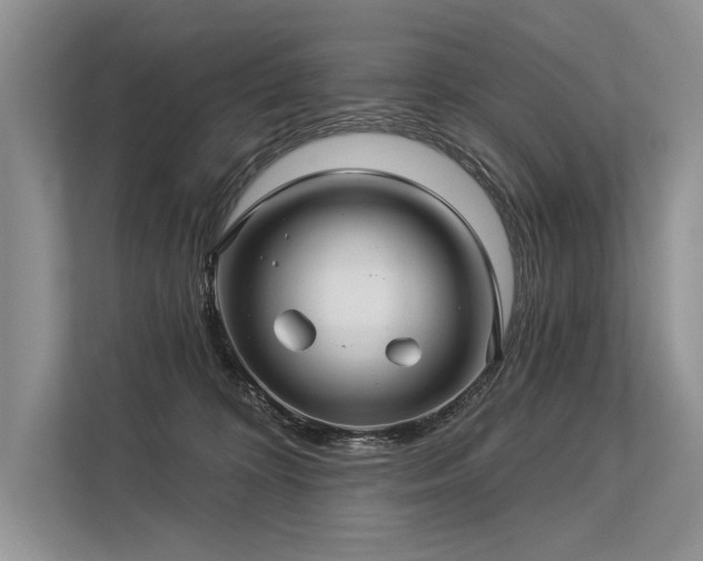 X0000113340324200909221129