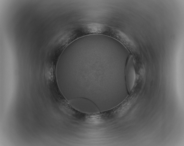 X0000113340325200909221129