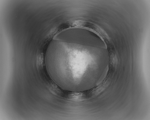 X0000113340328200909221129