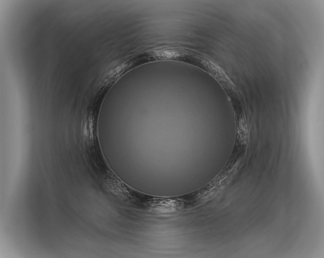 X0000113340330200909221129