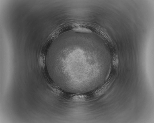 X0000113340332200909221129