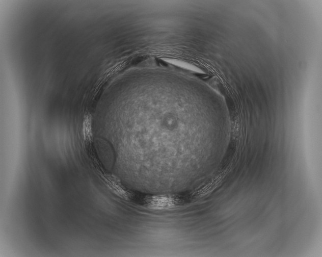 X0000113340335200909221129