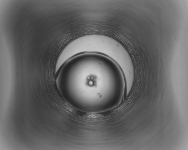 X0000113340336200909221129