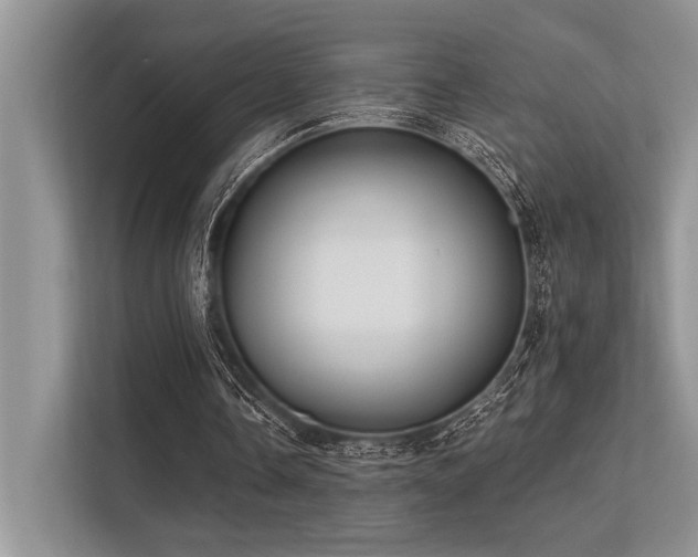 X0000113340338200909221128