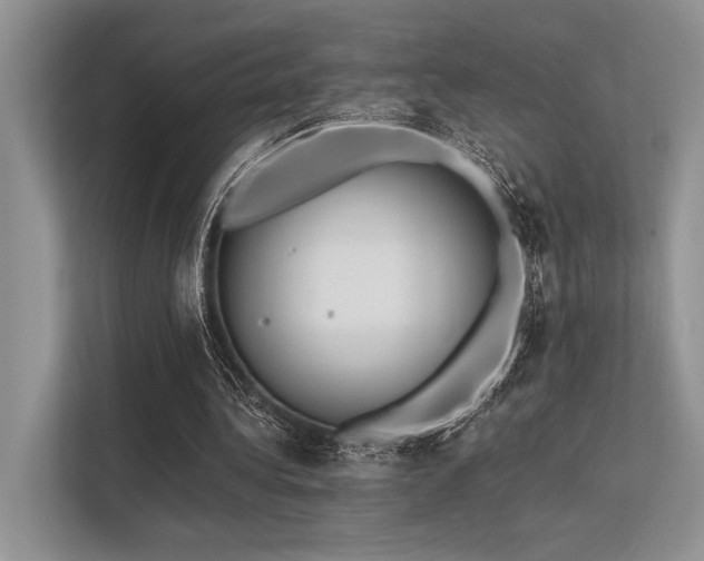 X0000113340340200909221128