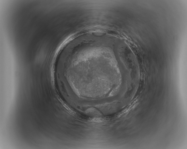 X0000113340341200909221128