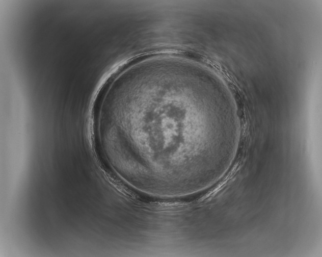 X0000113340342200909221128