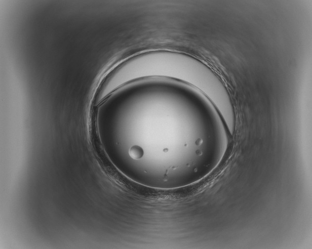 X0000113340344200909221128