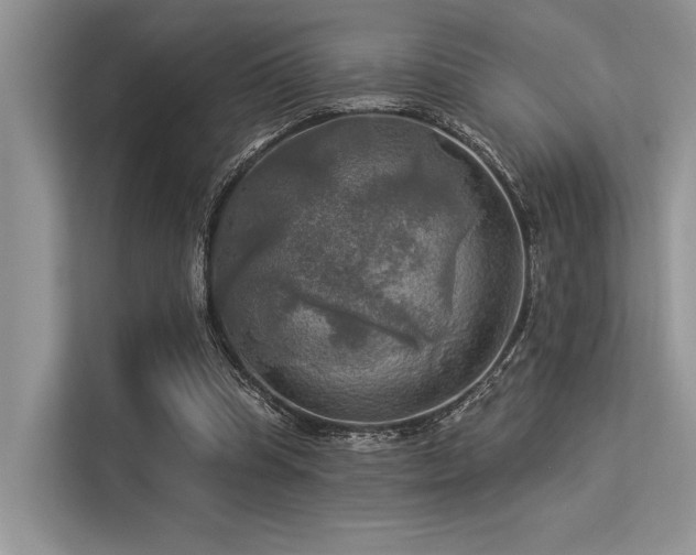 X0000113340345200909221128