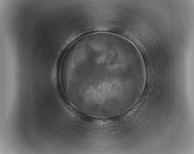 X0000113340346200909221128