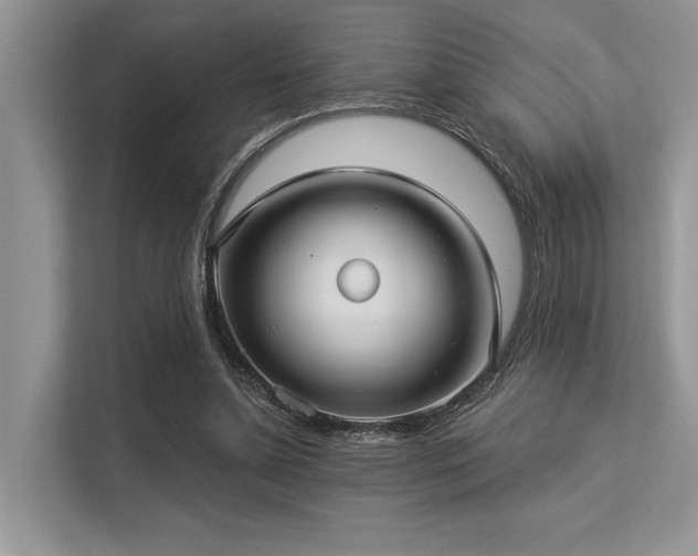 X0000113340348200909221128