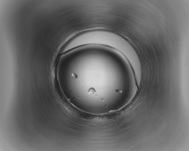 X0000113340350200909221128