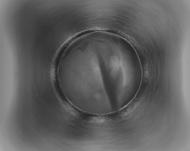 X0000113340351200909221128