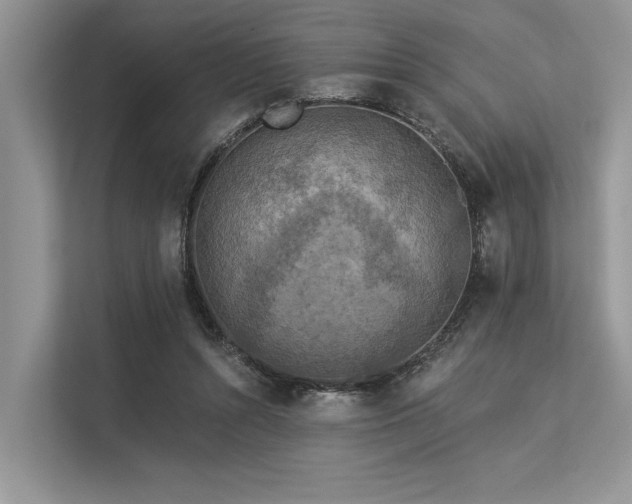 X0000113340352200909221128