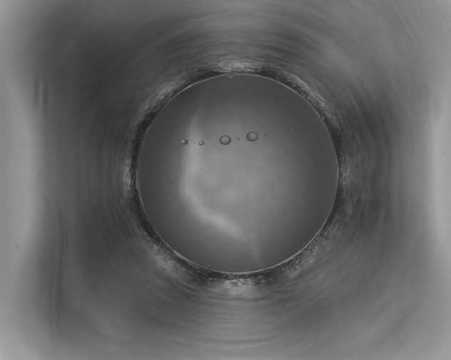 X0000113340353200909221128