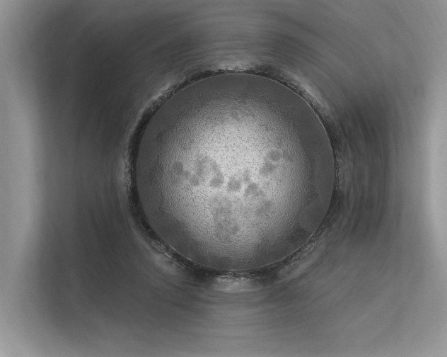 X0000113340354200909221128