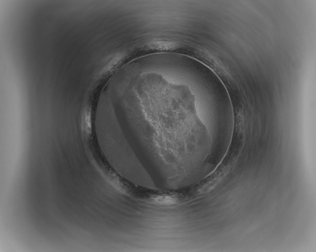 X0000113340358200909221128