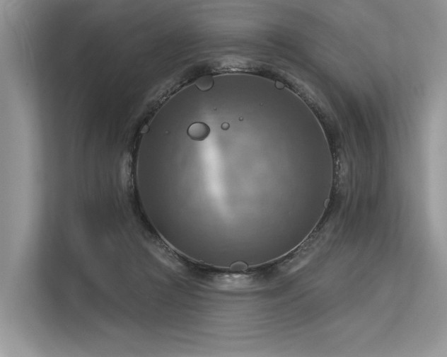 X0000113340361200909221128