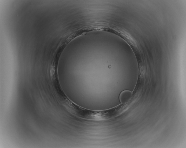 X0000113340365200909221128