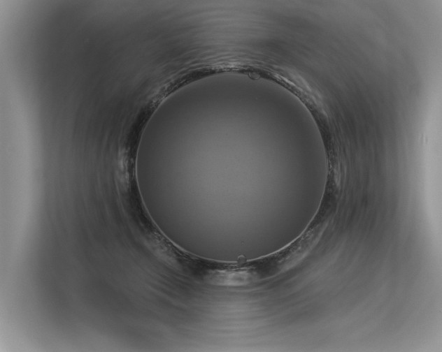 X0000113340366200909221128