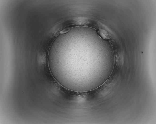 X0000113340368200909221128