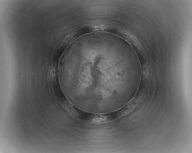 X0000113340369200909221128