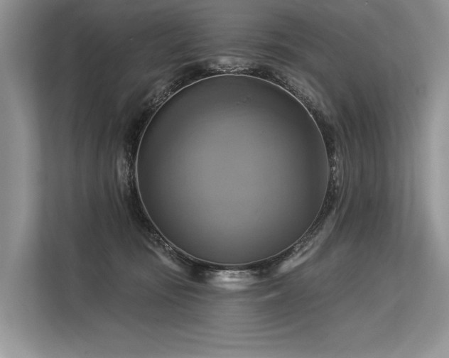 X0000113340371200909221128